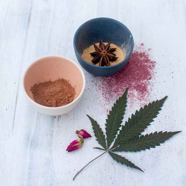 Sultry Hot Cocoa &ndash; Hempsley Health