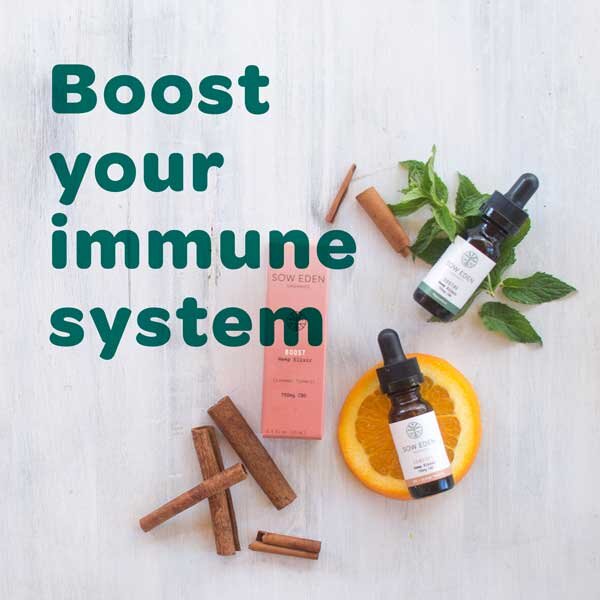 Boost your Immune System with these 3 CBD Products