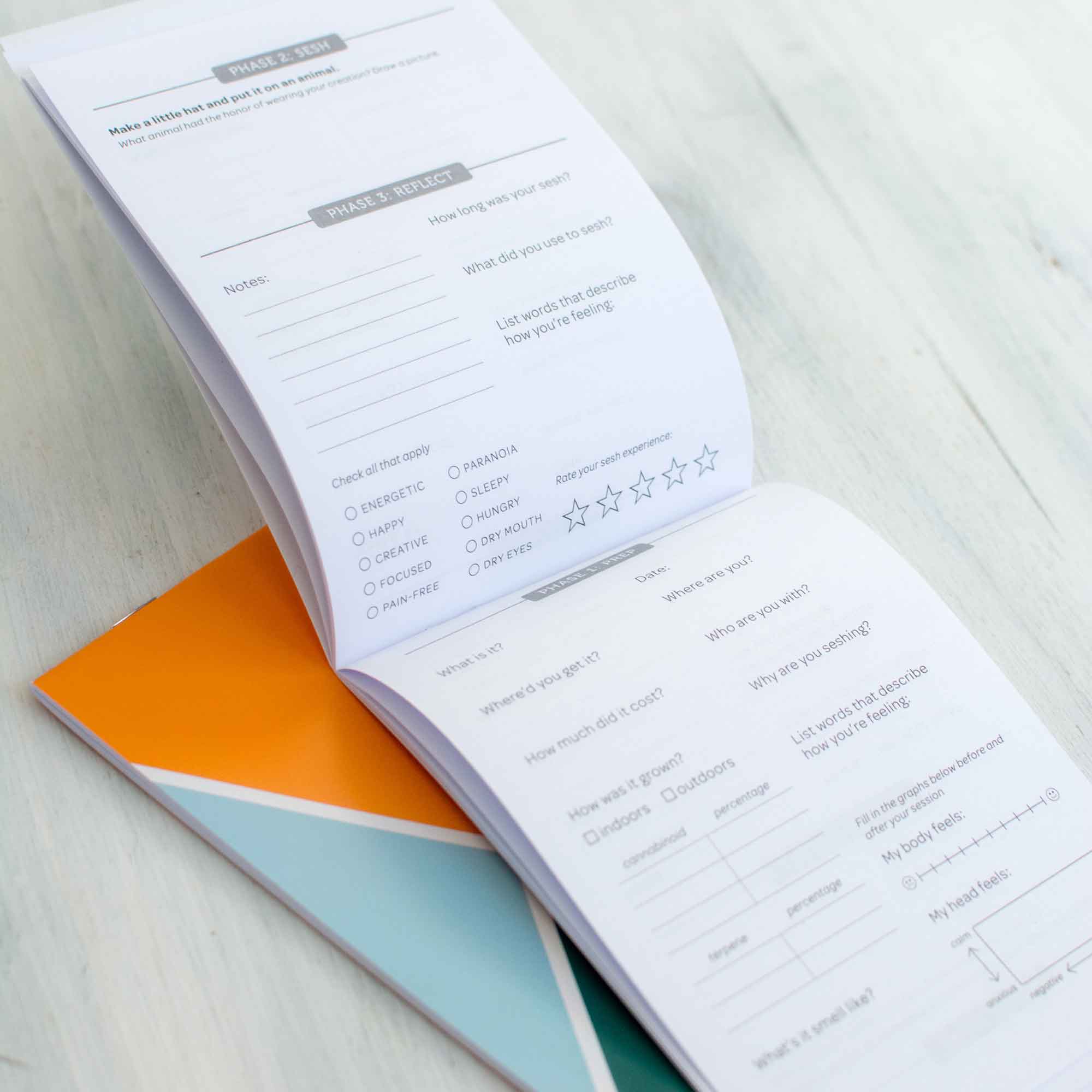 Session Journal – Hempsley Health