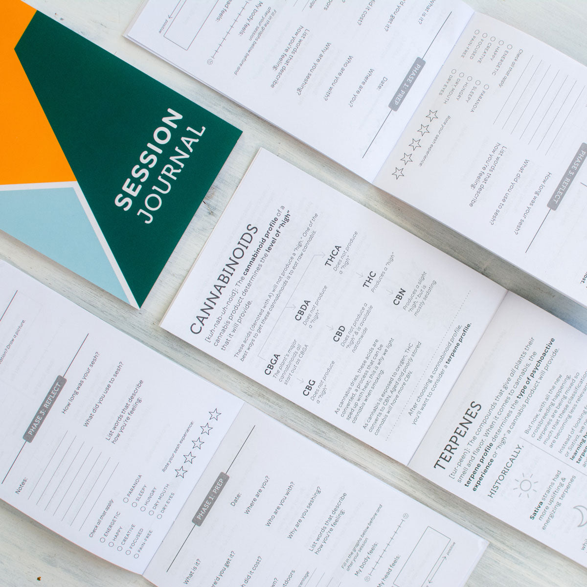 Session Journal – Hempsley Health